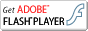 flashplayer DL